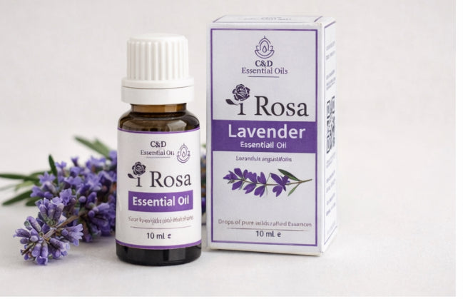 Lavendel Etherische Olie – 10 ml