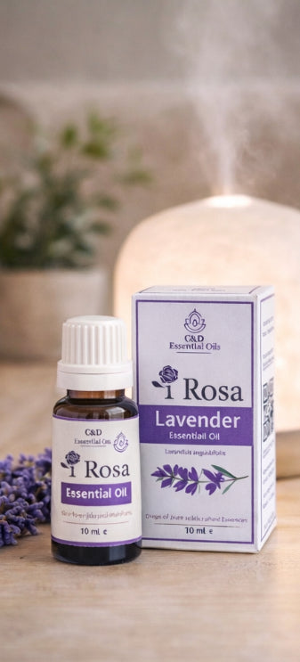 Lavendel Etherische Olie – 10 ml